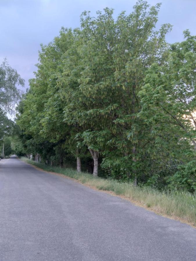 דירות שינזו דה לימיה Atico Rosita En Camino De Santiago מראה חיצוני תמונה